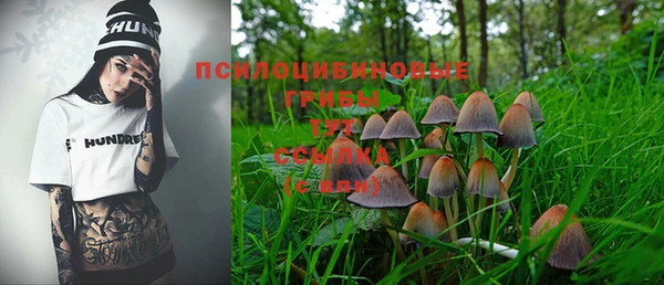 apvp Белоозёрский