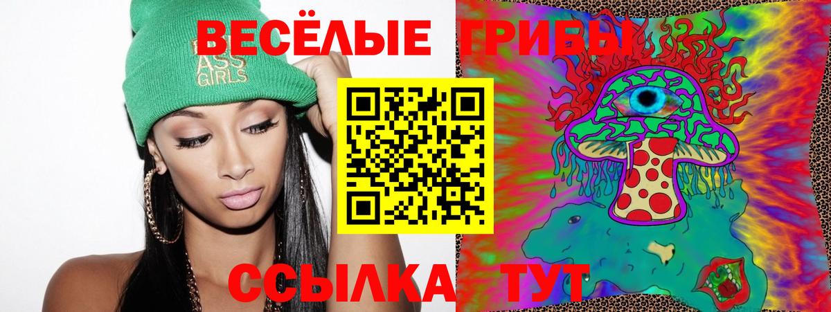 Свободный  Галлюциногенные грибы Psilocybine cubensis  Вход с VPN 